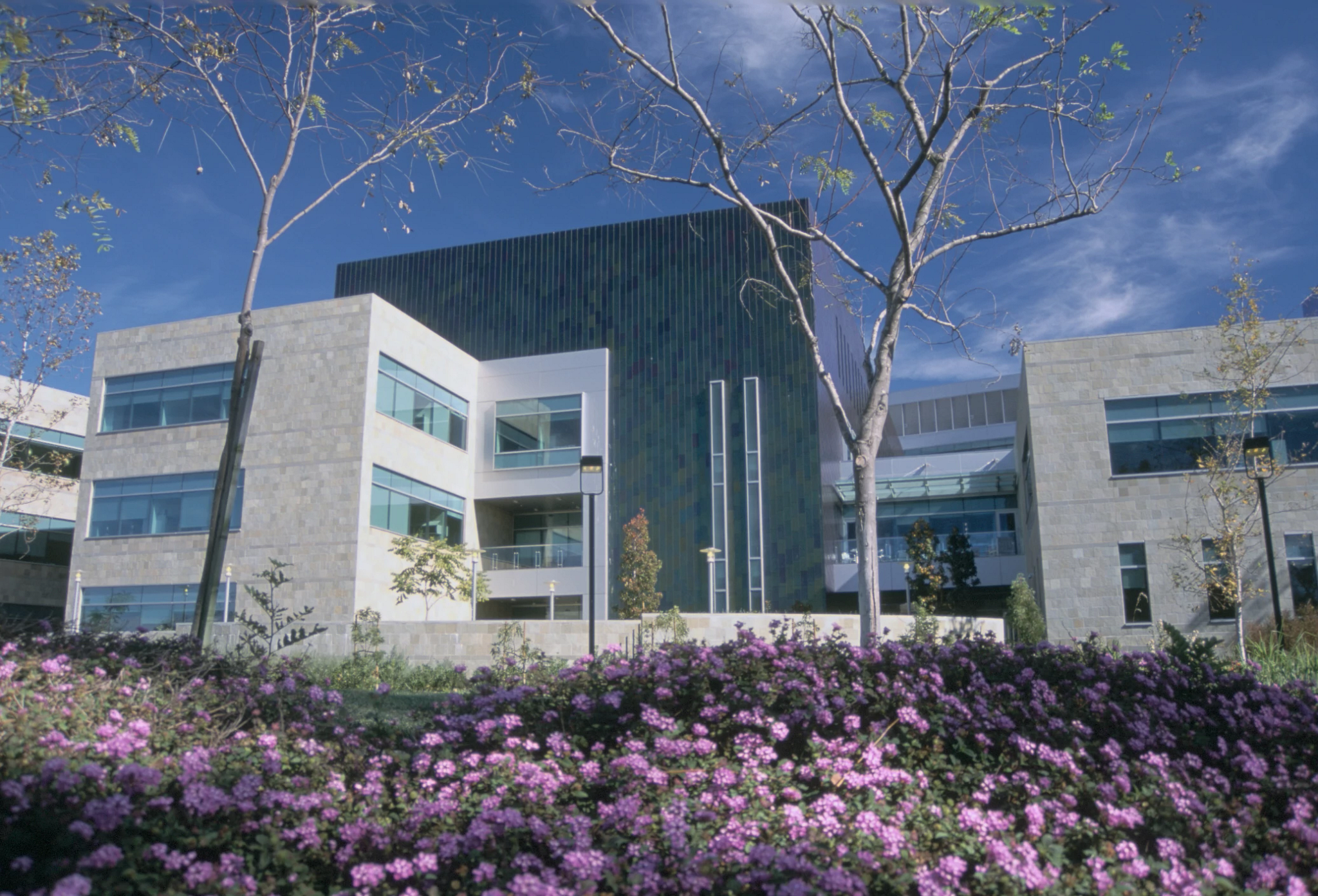 The University of California, San Diego