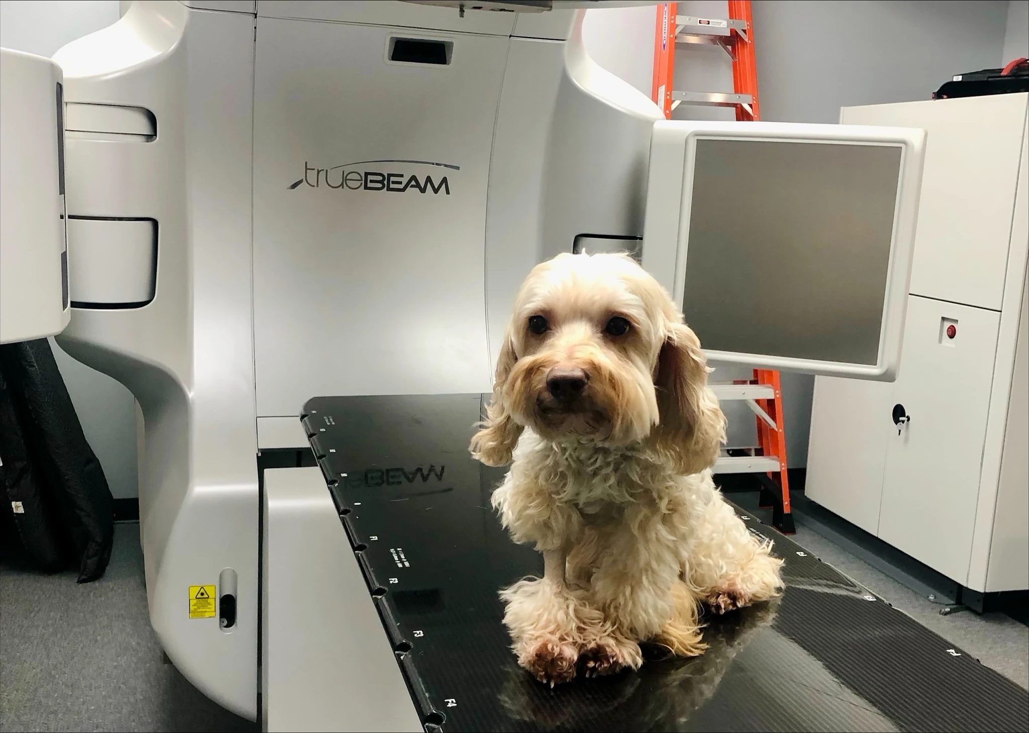 Varian Dosimetry Services Help Veterinary Hospitals Expand Capacity, Streamline Workflow, and Speed Time to Care for Patients