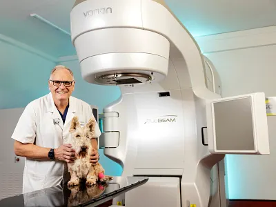 TrueBeam | Veterinary Oncology