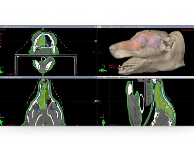 Eclipse | Veterinary Oncology