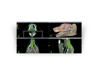 Eclipse | Veterinary Oncology