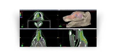 Eclipse | Veterinary Oncology
