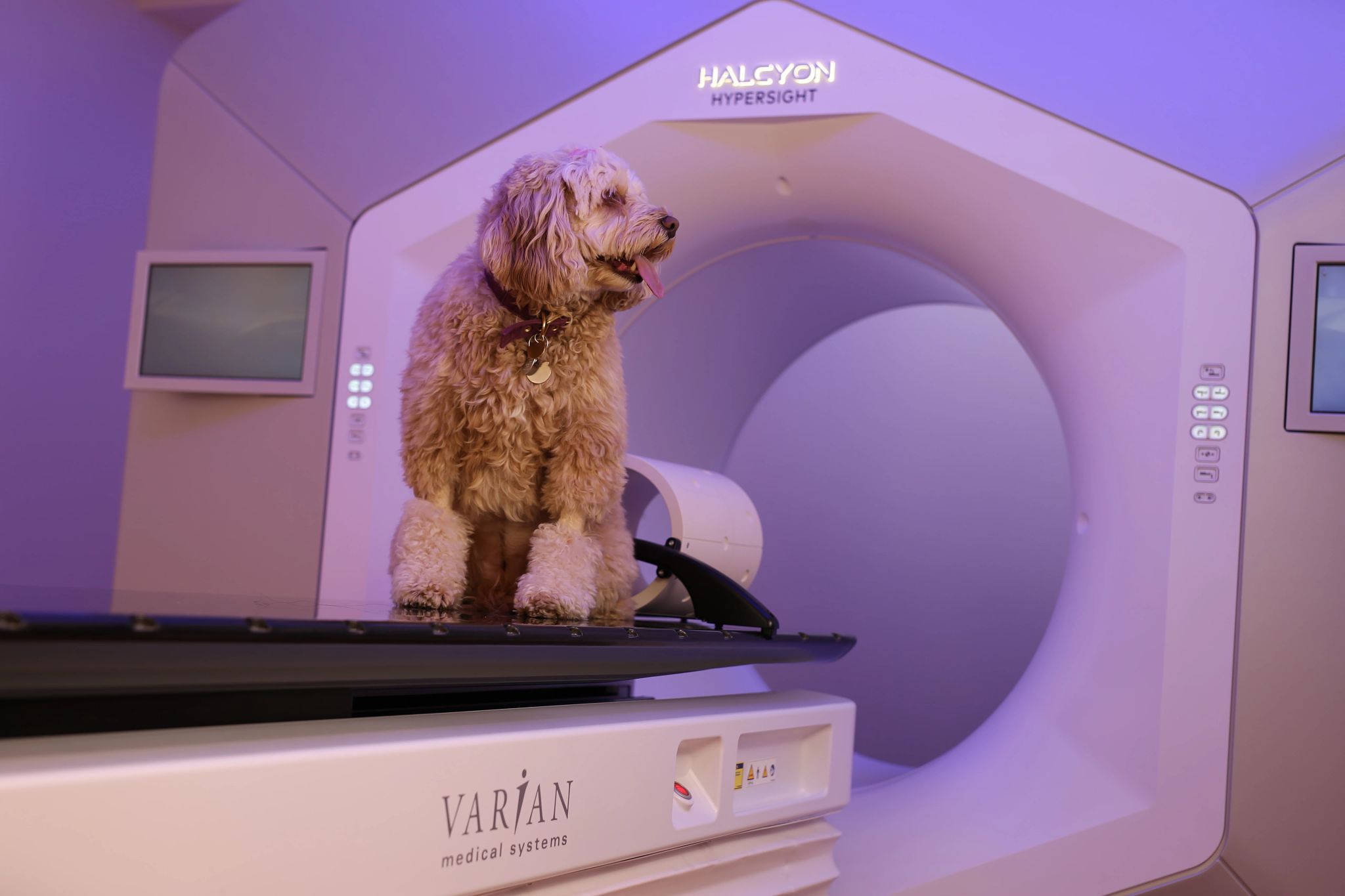 Doodle with HyperSight