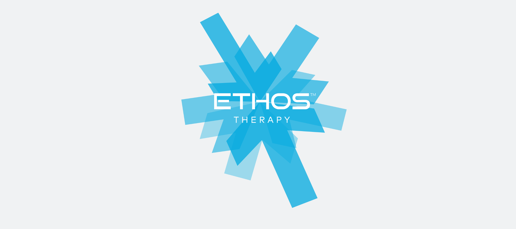 aps ethos 17