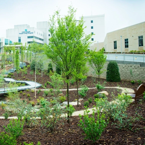 Harnessing the Power of ARIA and Connecting with Epic at Cone Health 