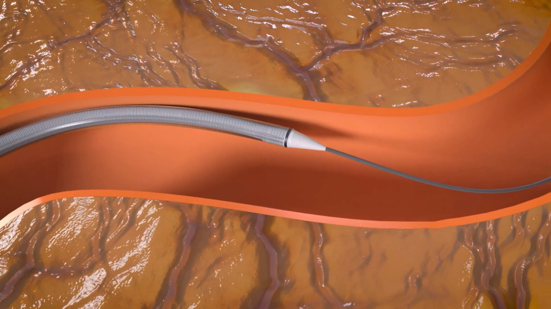 Image description goes here.