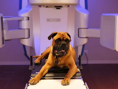 Edge | Veterinary Oncology